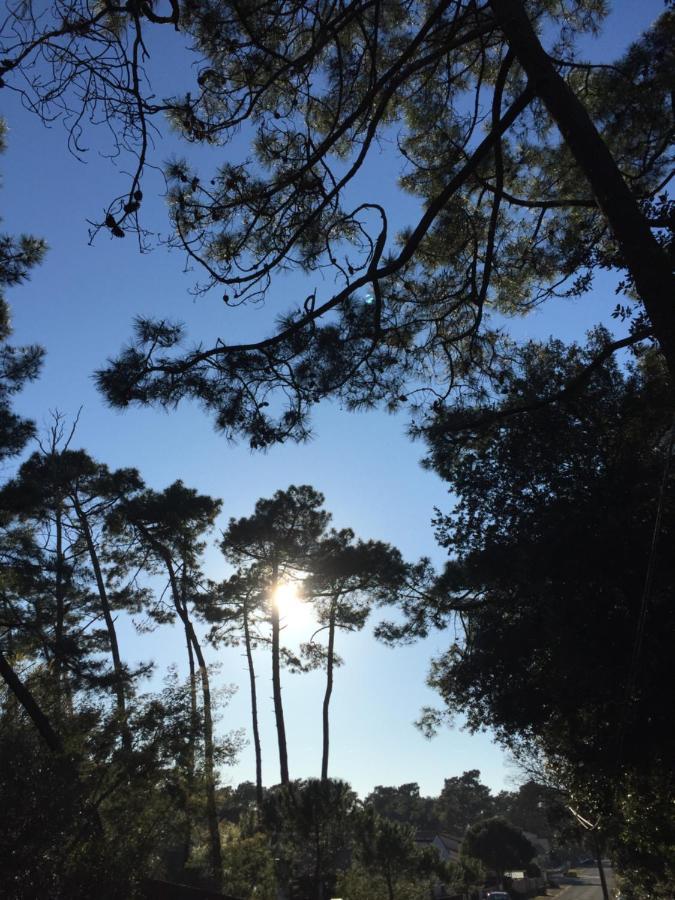 Villa Au Coeur De Ronce Les Bains 200 Metres De La Plage La Tremblade Εξωτερικό φωτογραφία